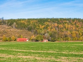 Etsinnässä okt isolla tontilla, Myytävät asunnot, Asunnot, Tampere, Tori.fi Etsinnässä okt isolla tontilla, Myytävät asunnot, Asunnot, Tampere, Tori.fi
