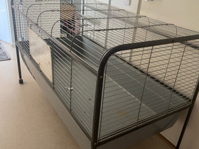 Iso kanin häkki, Muut eläintarvikkeet, Lemmikkieläimet, Raasepori, Tori.fi Iso kanin häkki, Muut eläintarvikkeet, Lemmikkieläimet, Raasepori, Tori.fi