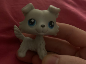 Aito collie lps littlespetshop, Lelut ja pelit, Lastentarvikkeet ja lelut, Espoo, Tori.fi Aito collie lps littlespetshop, Lelut ja pelit, Lastentarvikkeet ja lelut, Espoo, Tori.fi