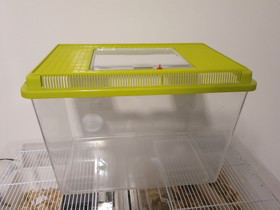 Kaksi kuljetuslaatikkoa, Muut eläintarvikkeet, Lemmikkieläimet, Vantaa, Tori.fi Kaksi kuljetuslaatikkoa, Muut eläintarvikkeet, Lemmikkieläimet, Vantaa, Tori.fi