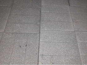 200 kpl betonilaatta 30x30cm, Ruukut, kivet ja koristeet, Piha ja puutarha, Pori, Tori.fi 200 kpl betonilaatta 30x30cm, Ruukut, kivet ja koristeet, Piha ja puutarha, Pori, Tori.fi