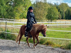 9 vuotias tamma, Hevoset ja ponit, Hevoset ja hevosurheilu, Taivassalo, Tori.fi 9 vuotias tamma, Hevoset ja ponit, Hevoset ja hevosurheilu, Taivassalo, Tori.fi