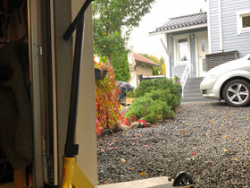 Vähän käytetty district titan, Rullaluistelu ja skeittaus, Urheilu ja ulkoilu, Rauma, Tori.fi Vähän käytetty district titan, Rullaluistelu ja skeittaus, Urheilu ja ulkoilu, Rauma, Tori.fi