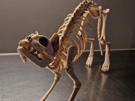 Halloween kissan luuranko, Lelut ja pelit, Lastentarvikkeet ja lelut, Järvenpää, Tori.fi Halloween kissan luuranko, Lelut ja pelit, Lastentarvikkeet ja lelut, Järvenpää, Tori.fi