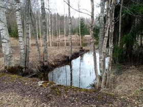 9000m², Kortesuon yksityistie, Orimattila, Tontit, Orimattila, Tori.fi 9000m², Kortesuon yksityistie, Orimattila, Tontit, Orimattila, Tori.fi