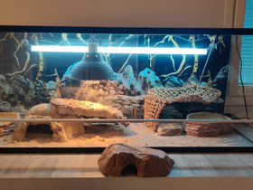 Terraario, Muut eläintarvikkeet, Lemmikkieläimet, Liminka, Tori.fi Terraario, Muut eläintarvikkeet, Lemmikkieläimet, Liminka, Tori.fi