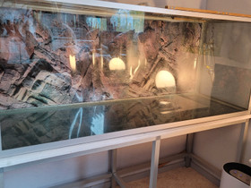 Iso terraario 130x46x53 + jalusta + tarvikkeita, Muut eläintarvikkeet, Lemmikkieläimet, Mustasaari, Tori.fi Iso terraario 130x46x53 + jalusta + tarvikkeita, Muut eläintarvikkeet, Lemmikkieläimet, Mustasaari, Tori.fi