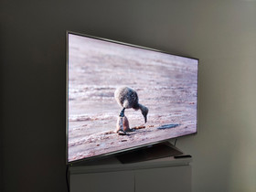 Panasonic Viera 55" LCD 3D, Televisiot, Viihde-elektroniikka, Espoo, Tori.fi Panasonic Viera 55" LCD 3D, Televisiot, Viihde-elektroniikka, Espoo, Tori.fi