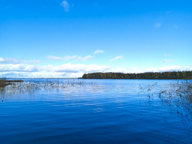 7,5ha metsä/rantatila Kitee, Metsätilat ja maatilat, Joensuu, Tori.fi 7,5ha metsä/rantatila Kitee, Metsätilat ja maatilat, Joensuu, Tori.fi