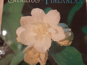 Lp levyjä 3kpl, Musiikki CD, DVD ja äänitteet, Musiikki ja soittimet, Keminmaa, Tori.fi Lp levyjä 3kpl, Musiikki CD, DVD ja äänitteet, Musiikki ja soittimet, Keminmaa, Tori.fi