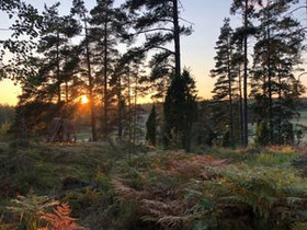 5010m², Degeröntie 346, Raasepori, Tontit, Raasepori, Tori.fi 5010m², Degeröntie 346, Raasepori, Tontit, Raasepori, Tori.fi