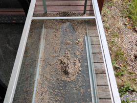 Akvaario 325l, 125x50x50 ja jalusta, Kalat ja akvaariot, Lemmikkieläimet, Lempäälä, Tori.fi Akvaario 325l, 125x50x50 ja jalusta, Kalat ja akvaariot, Lemmikkieläimet, Lempäälä, Tori.fi