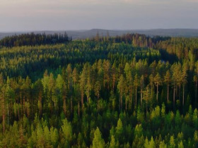 Tontti keskellä luontoa., Tontit, Kouvola, Tori.fi Tontti keskellä luontoa., Tontit, Kouvola, Tori.fi
