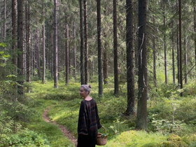Etsin pitkäaikaista kotia, Vuokrattavat asunnot, Asunnot, Helsinki, Tori.fi Etsin pitkäaikaista kotia, Vuokrattavat asunnot, Asunnot, Helsinki, Tori.fi