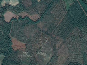 Metsäpohja 17ha, Metsätilat ja maatilat, Alajärvi, Tori.fi Metsäpohja 17ha, Metsätilat ja maatilat, Alajärvi, Tori.fi