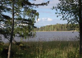 1.43 ha, Trollvikintie, Pyhtää, Tontit, Pyhtää, Tori.fi 1.43 ha, Trollvikintie, Pyhtää, Tontit, Pyhtää, Tori.fi
