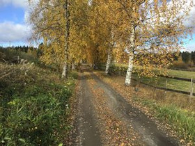 6H, Alangontie 22, Korpikoski, Mikkeli, Metsätilat ja maatilat, Mikkeli, Tori.fi 6H, Alangontie 22, Korpikoski, Mikkeli, Metsätilat ja maatilat, Mikkeli, Tori.fi