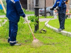 Anna meidän auttaa sinua siivoamaan pihasi, Palvelut, Kouvola, Tori.fi
