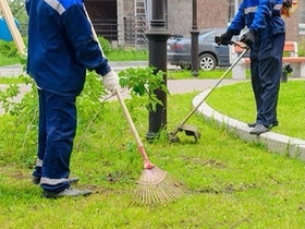 Anna meidän auttaa sinua siivoamaan pihasi, Palvelut, Kouvola, Tori.fi Anna meidän auttaa sinua siivoamaan pihasi, Palvelut, Kouvola, Tori.fi