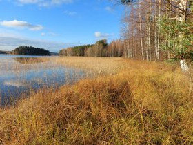 Vinkarinniementie, Nunnanlahti, Juuka, Metsätilat ja maatilat, Juuka, Tori.fi Vinkarinniementie, Nunnanlahti, Juuka, Metsätilat ja maatilat, Juuka, Tori.fi