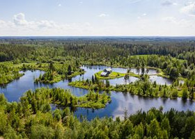 6000m², Rukajoenpolku, Kokemäki, Tontit, Kokemäki, Tori.fi 6000m², Rukajoenpolku, Kokemäki, Tontit, Kokemäki, Tori.fi