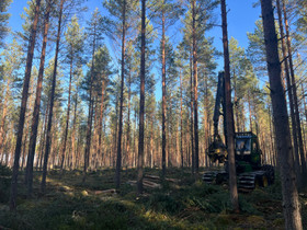 Metsätila, Metsätilat ja maatilat, Eurajoki, Tori.fi Metsätila, Metsätilat ja maatilat, Eurajoki, Tori.fi