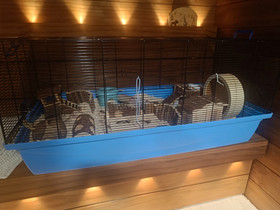 Hamsterin häkki, Muut eläintarvikkeet, Lemmikkieläimet, Oulu, Tori.fi Hamsterin häkki, Muut eläintarvikkeet, Lemmikkieläimet, Oulu, Tori.fi