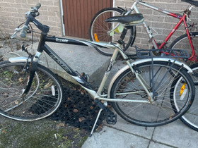 Kahdeksan vaihteinen naistenpyörä, Kilpapyörät, Polkupyörät ja pyöräily, Salo, Tori.fi Kahdeksan vaihteinen naistenpyörä, Kilpapyörät, Polkupyörät ja pyöräily, Salo, Tori.fi