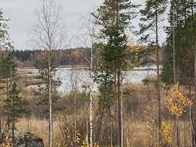 2.48 ha, Tervalahdentie, Varkaus, Tontit, Varkaus, Tori.fi 2.48 ha, Tervalahdentie, Varkaus, Tontit, Varkaus, Tori.fi