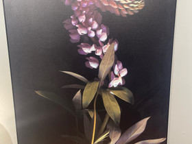 BoConcept Herbarium -taulu 215,-, Sisustustavarat, Sisustus ja huonekalut, Helsinki, Tori.fi BoConcept Herbarium -taulu 215,-, Sisustustavarat, Sisustus ja huonekalut, Helsinki, Tori.fi