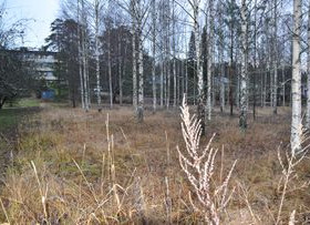 2842m², Kustaa hemmintie 5, Tammela, Tontit, Tammela, Tori.fi 2842m², Kustaa hemmintie 5, Tammela, Tontit, Tammela, Tori.fi