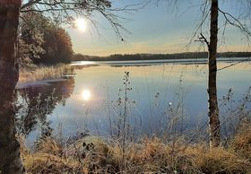 6870m², Ruokomäentie 342 E, Kangasniemi, Tontit, Kangasniemi, Tori.fi 6870m², Ruokomäentie 342 E, Kangasniemi, Tontit, Kangasniemi, Tori.fi