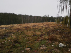 Mänttä-Vilppula/naapurikunnat hakkuuaukko/metsätil, Metsätilat ja maatilat, Mänttä-Vilppula, Tori.fi Mänttä-Vilppula/naapurikunnat hakkuuaukko/metsätil, Metsätilat ja maatilat, Mänttä-Vilppula, Tori.fi
