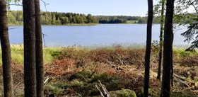 3320m², Linnuskorventie, HÄMEENLINNA, Tontit, Hämeenlinna, Tori.fi 3320m², Linnuskorventie, HÄMEENLINNA, Tontit, Hämeenlinna, Tori.fi