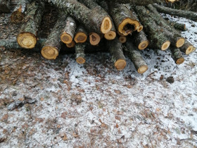 Pihlajaa, Maatalous, Kangasniemi, Tori.fi Pihlajaa, Maatalous, Kangasniemi, Tori.fi