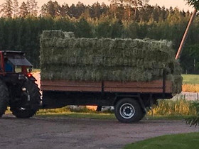 Heinää pikkupaaleissa, Maatalous, Säkylä, Tori.fi Heinää pikkupaaleissa, Maatalous, Säkylä, Tori.fi