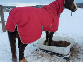 Loimi Bucas Freedom Turnout 150g 145 cm, Muut hevostarvikkeet, Hevoset ja hevosurheilu, Kotka, Tori.fi Loimi Bucas Freedom Turnout 150g 145 cm, Muut hevostarvikkeet, Hevoset ja hevosurheilu, Kotka, Tori.fi