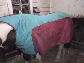 125cm (135) sadeloimi, Satulat ja varusteet, Hevoset ja hevosurheilu, Kotka, Tori.fi 125cm (135) sadeloimi, Satulat ja varusteet, Hevoset ja hevosurheilu, Kotka, Tori.fi