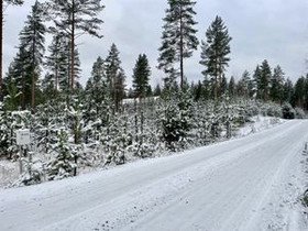 6505m², Aittosentie 3 b, Kontiolahti, Tontit, Kontiolahti, Tori.fi 6505m², Aittosentie 3 b, Kontiolahti, Tontit, Kontiolahti, Tori.fi