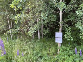 1470m², Billskogintie tontti 1, Siuntio, Tontit, Siuntio, Tori.fi 1470m², Billskogintie tontti 1, Siuntio, Tontit, Siuntio, Tori.fi
