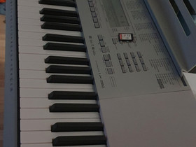Casio lk 280 kosketinsoitin opastava, Pianot, urut ja koskettimet, Musiikki ja soittimet, Ylöjärvi, Tori.fi Casio lk 280 kosketinsoitin opastava, Pianot, urut ja koskettimet, Musiikki ja soittimet, Ylöjärvi, Tori.fi