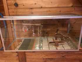 Terraario, Muut eläintarvikkeet, Lemmikkieläimet, Tampere, Tori.fi Terraario, Muut eläintarvikkeet, Lemmikkieläimet, Tampere, Tori.fi