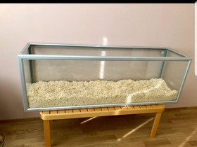 Hamsterin terraario ja tarvikkeet, Muut eläintarvikkeet, Lemmikkieläimet, Kaarina, Tori.fi Hamsterin terraario ja tarvikkeet, Muut eläintarvikkeet, Lemmikkieläimet, Kaarina, Tori.fi