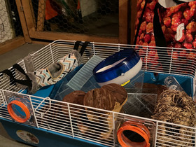 Hamsterin häkki, Muut eläintarvikkeet, Lemmikkieläimet, Helsinki, Tori.fi Hamsterin häkki, Muut eläintarvikkeet, Lemmikkieläimet, Helsinki, Tori.fi