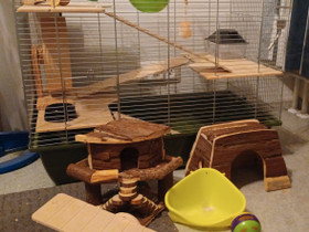 Jyrsijälle häkki ja tarvikkeet, Muut eläintarvikkeet, Lemmikkieläimet, Tampere, Tori.fi Jyrsijälle häkki ja tarvikkeet, Muut eläintarvikkeet, Lemmikkieläimet, Tampere, Tori.fi