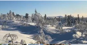 2695m², Kanerva 2, Saariselkä, Saariselkä, Tontit, Inari, Tori.fi 2695m², Kanerva 2, Saariselkä, Saariselkä, Tontit, Inari, Tori.fi