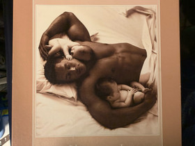 Anne Geddes palapeli, Pelit ja muut harrastukset, Mikkeli, Tori.fi Anne Geddes palapeli, Pelit ja muut harrastukset, Mikkeli, Tori.fi