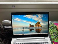 Lenovo EliteBook 745 G5