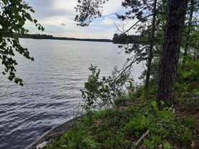 5.45 ha, Nääringintie 368, Juva, Tontit, Juva, Tori.fi 5.45 ha, Nääringintie 368, Juva, Tontit, Juva, Tori.fi