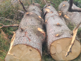 Kuusi pölkky, Käsityöt, Outokumpu, Tori.fi Kuusi pölkky, Käsityöt, Outokumpu, Tori.fi